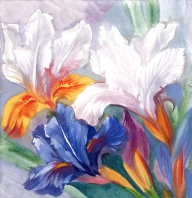 Festive irises. Mikhalskaya Katya