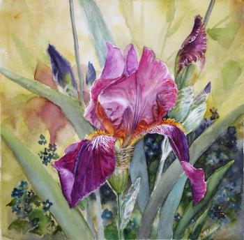 Iris (Flowers In Watercolors). Tarasova Irena