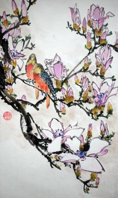 Budgerigars and magnolias