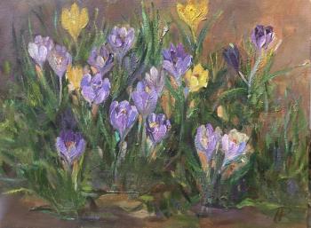 ������� ���������