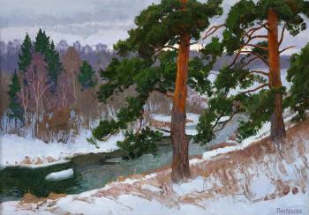 Two pines. Panteleev Sergey