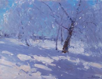 Shining day (Shiny Snow). Makarov Vitaly