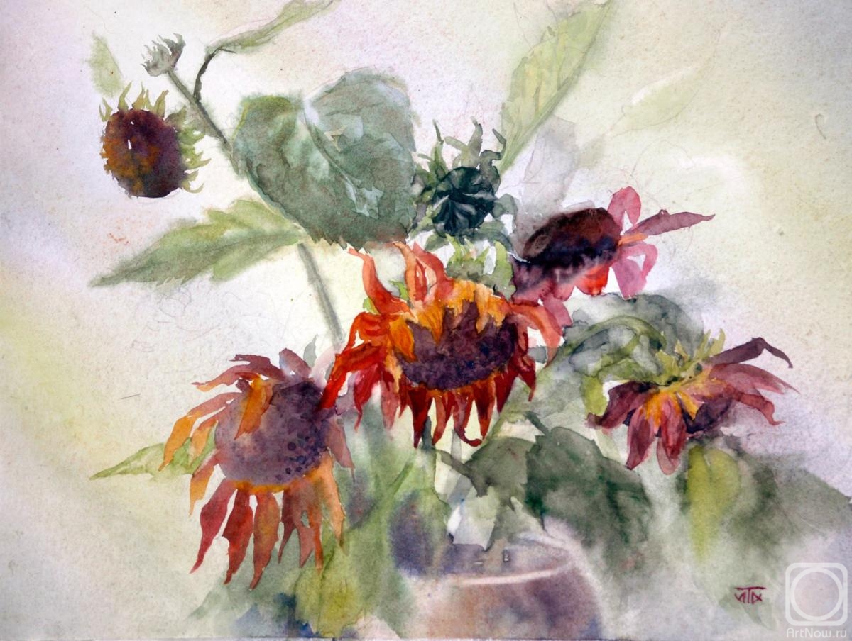 �������. �������� �����. ������ ��������