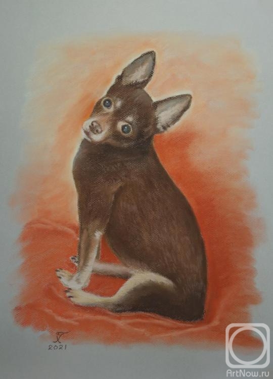 �������. ������� �������. ����