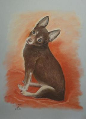 ������� �����