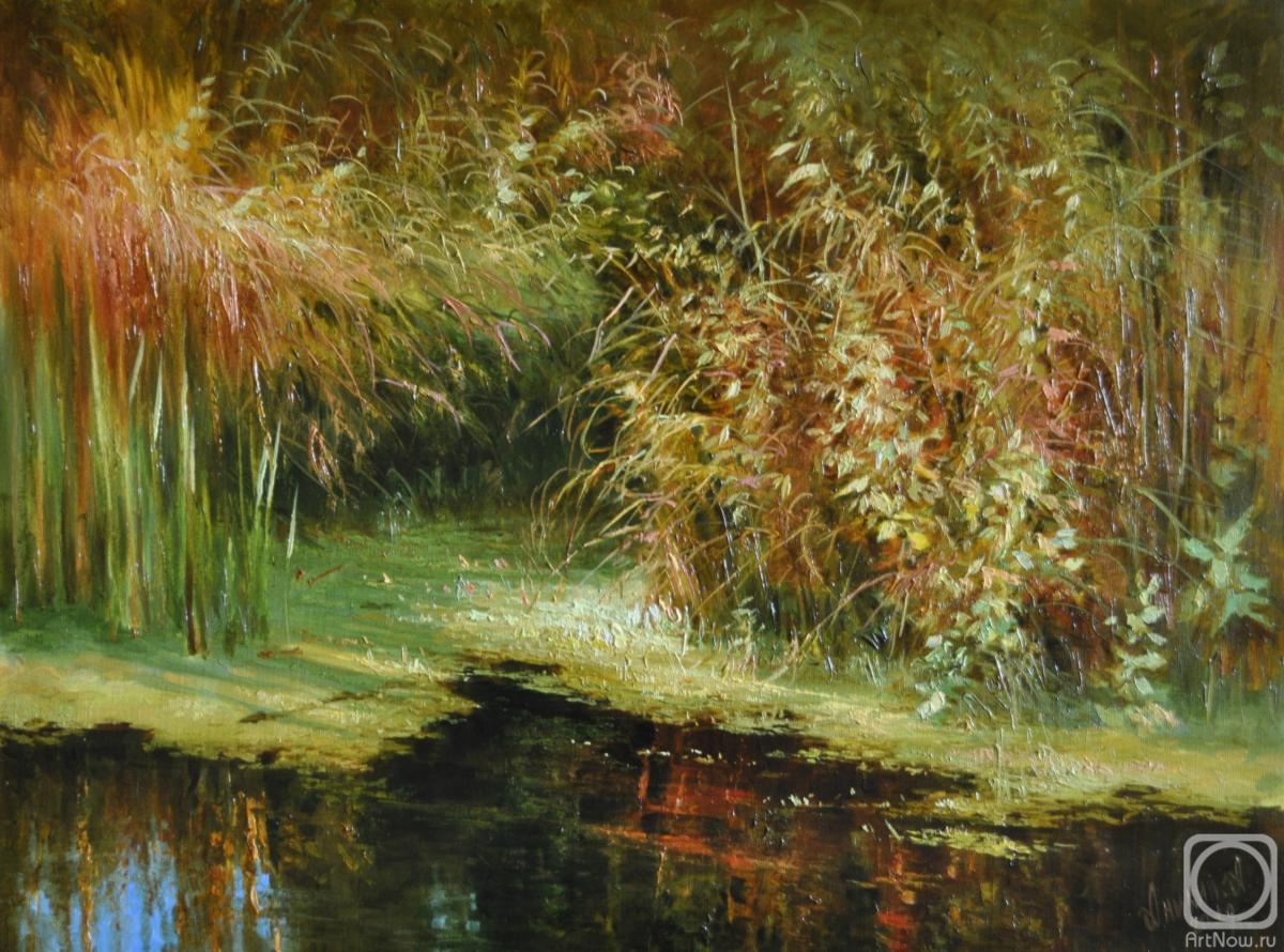 Anikin Aleksey. The sun in the river grasses