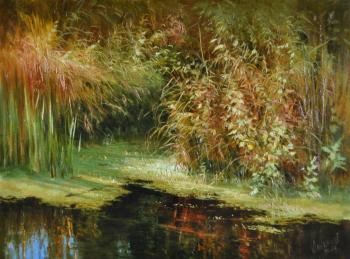 The sun in the river grasses. Anikin Aleksey