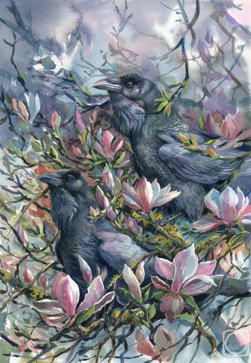 Skantseva Alina. Crows on magnolia