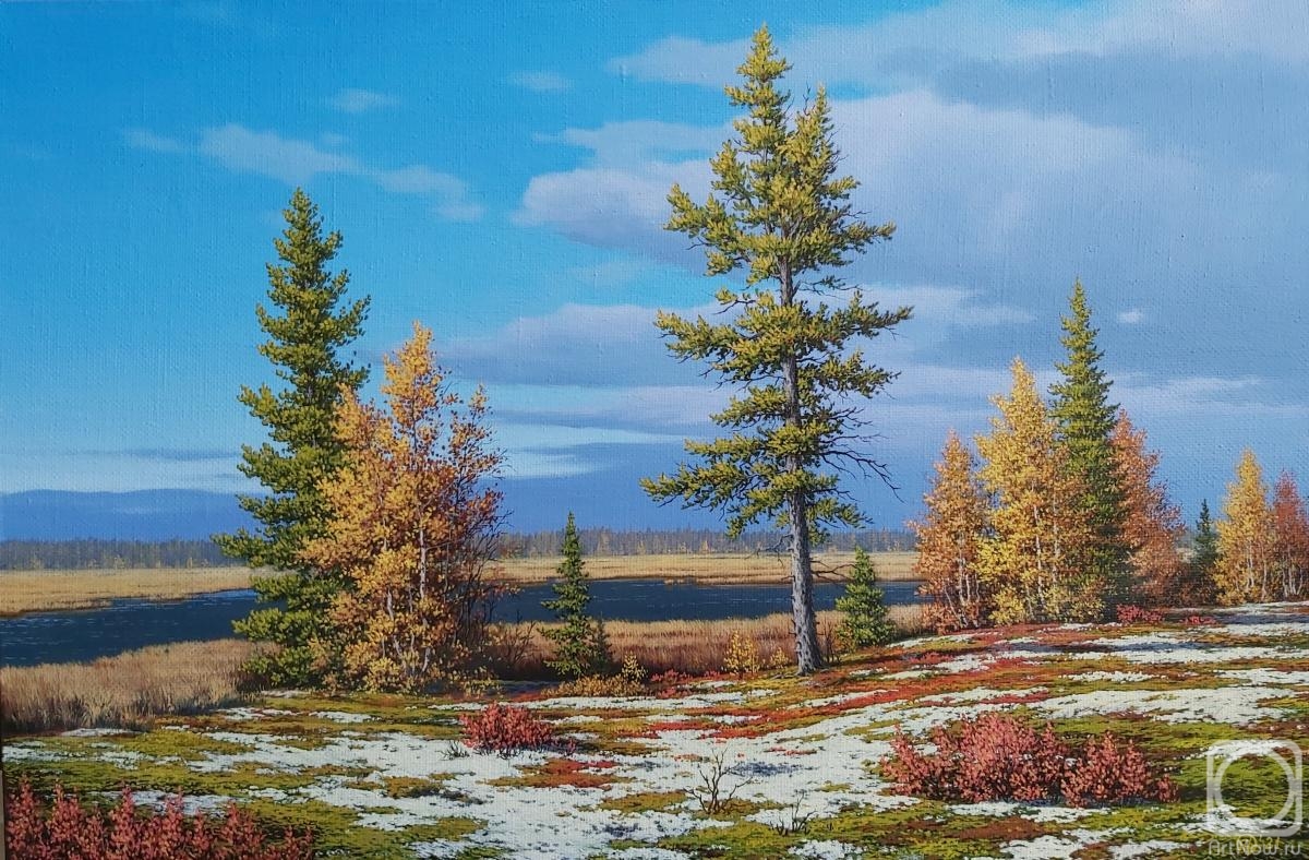 Panchenko Dmitriy. Autumn tundra