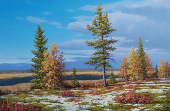 Autumn tundra (Forest Tundra). Panchenko Dmitriy