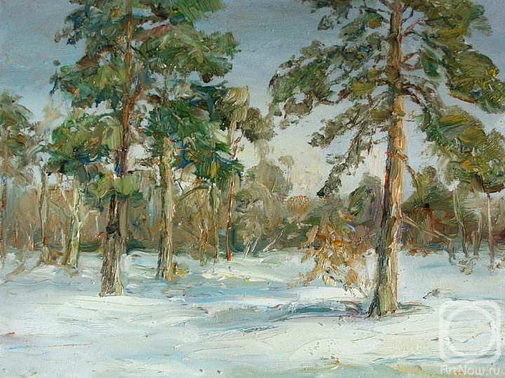 Novikova Marina. Pine trees