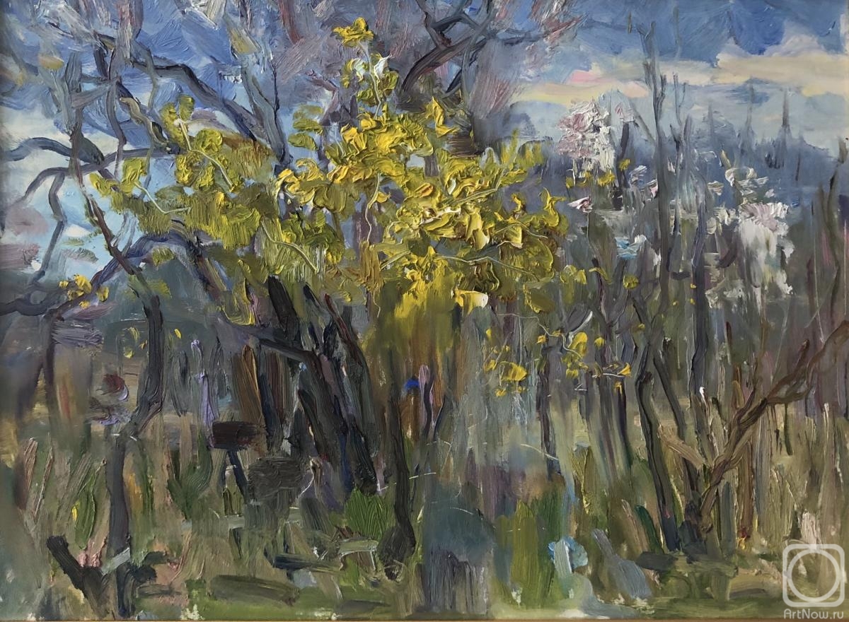 ������� ������ �� ������. ������ �����. ������ �����