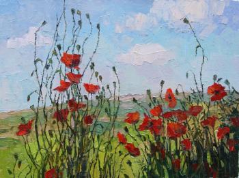 ������� �������� ����