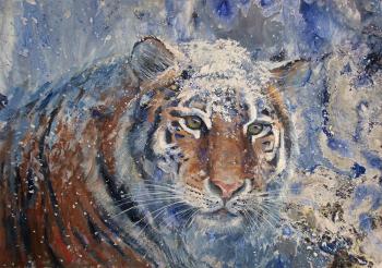 The Amur Tiger. Savinova Roza