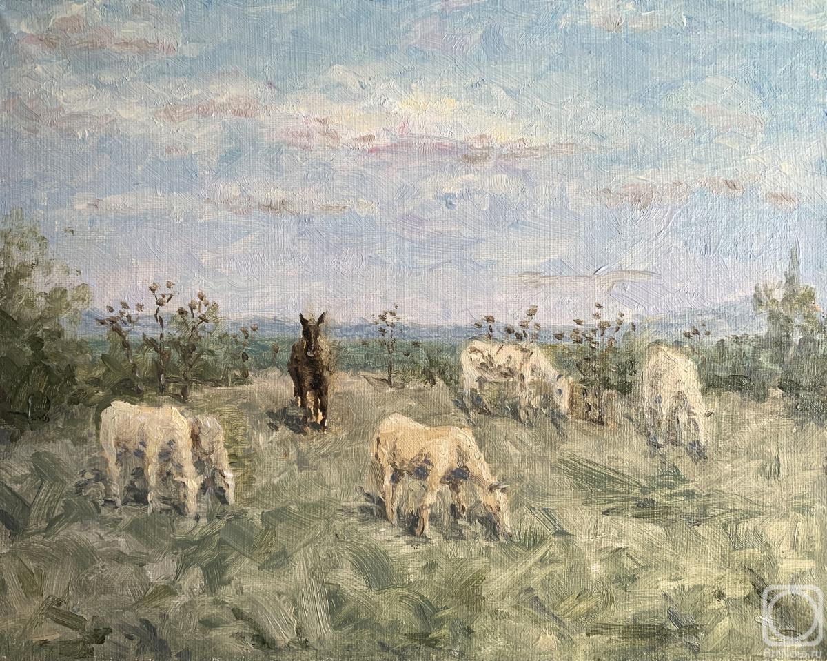 ������� ������ �� ������. �������� �����. ������ � �������