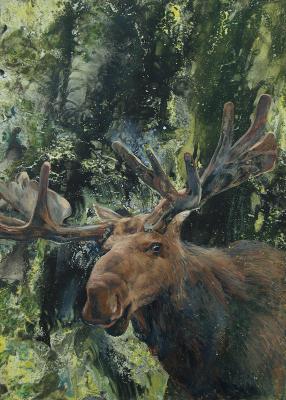 Elk (Original Graphics). Savinova Roza