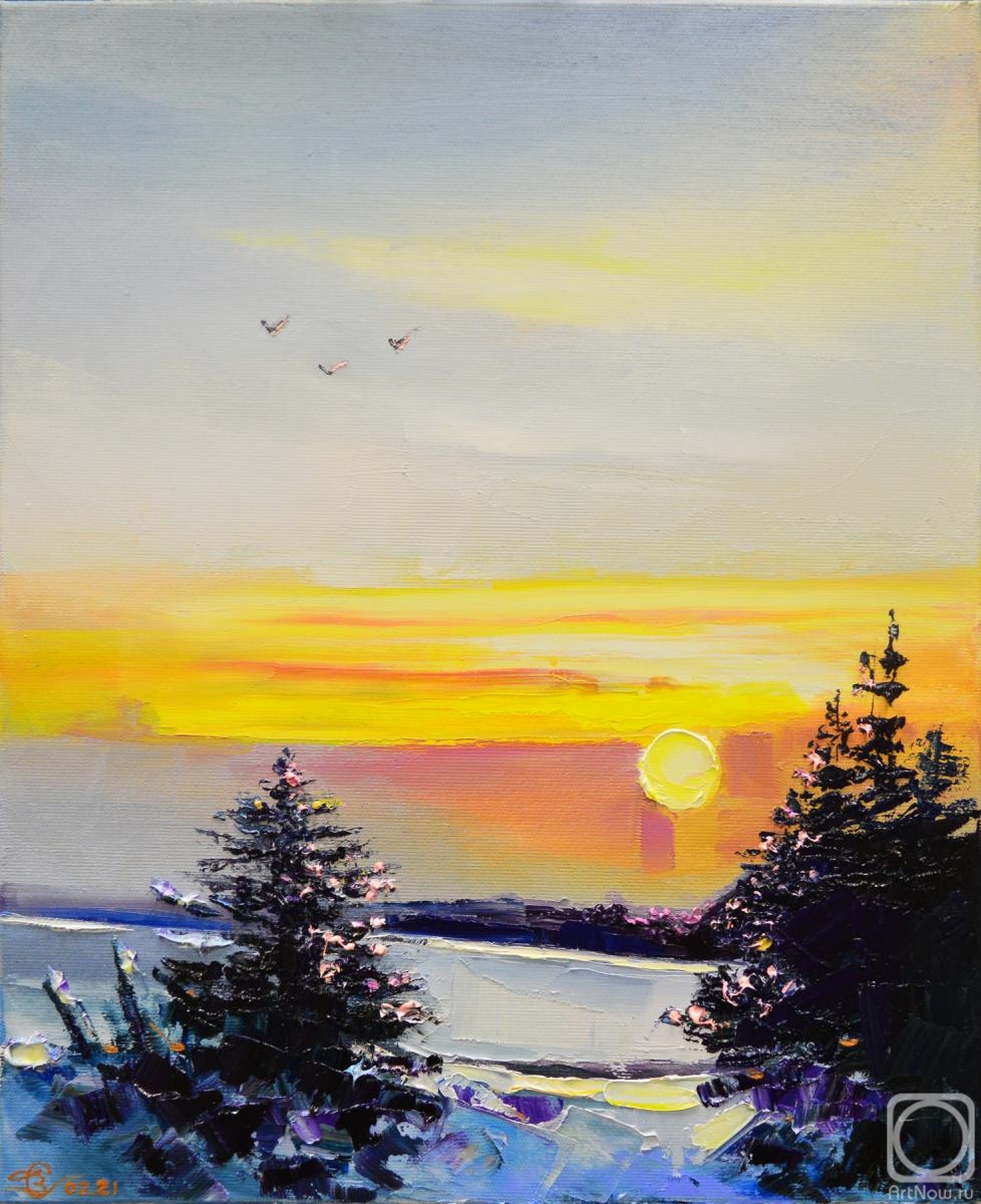 Stolyarov Vadim. Winter sunset