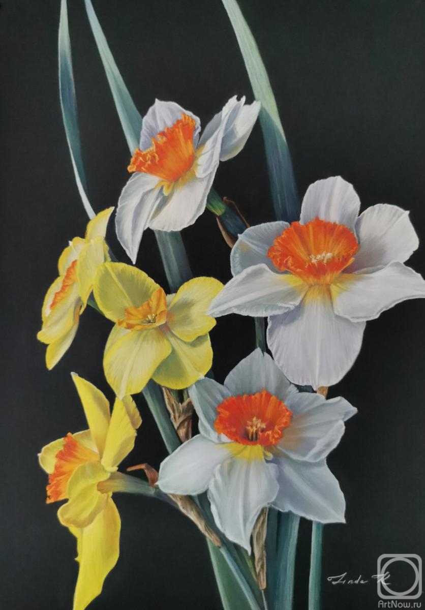 Kritskaya Linda. Daffodils