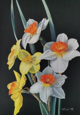 Daffodils. Kritskaya Linda