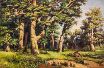 Copy of Ivan Shishkin's painting. Oak grove
