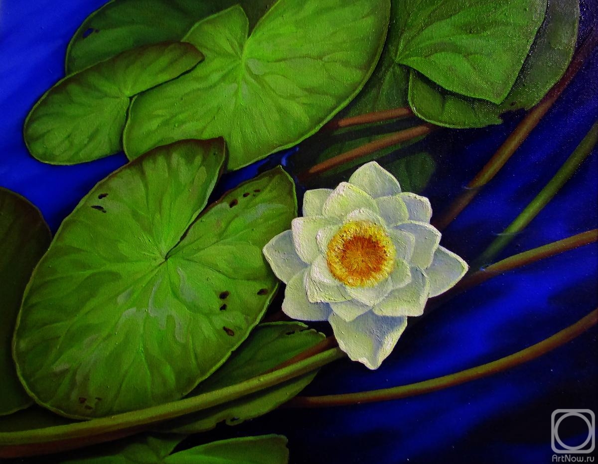 ������� ������ �� ������. �������� �����. �� �����