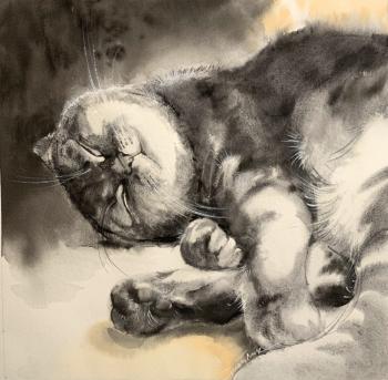 Sweet sleep (Cats Sleep). Stoylik liudmila