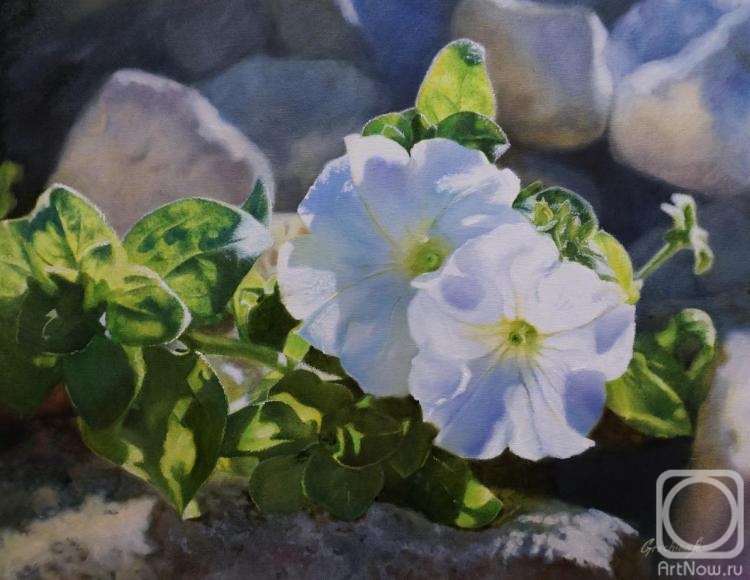 Grechina Anna. White flowers