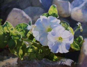 White flowers (). Grechina Anna