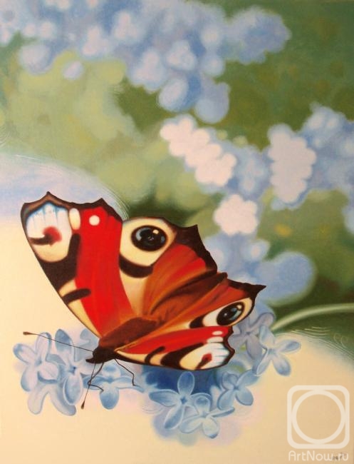 ������� ������ �� ������. ��������-������� �������. ������ �������