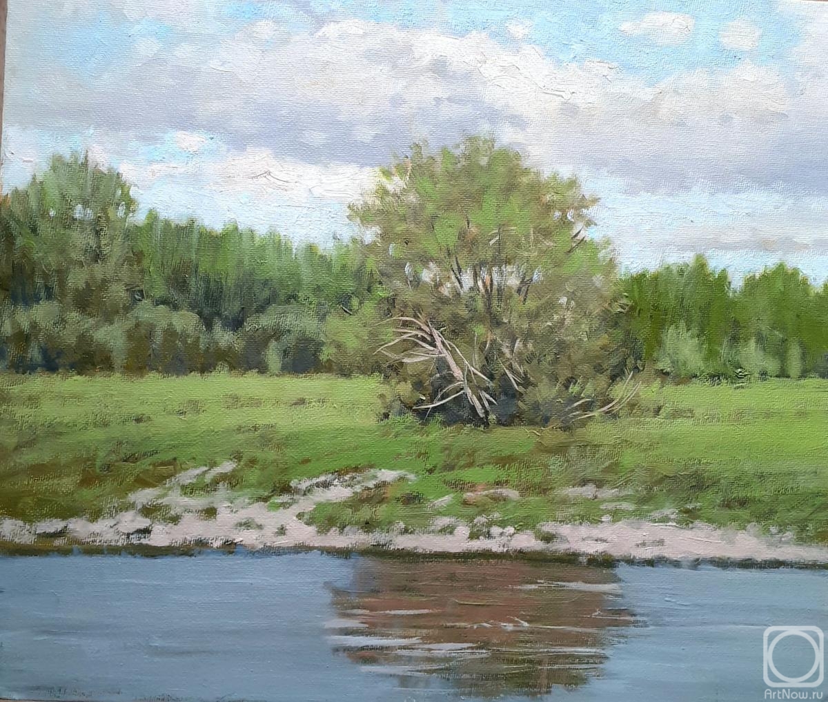 Toporkov Anatoliy. Tree by the water