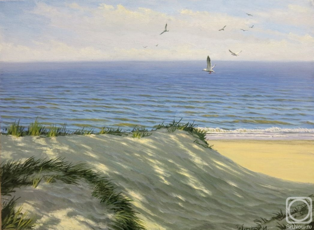 Zaborskih Igor. Gulls over the sea