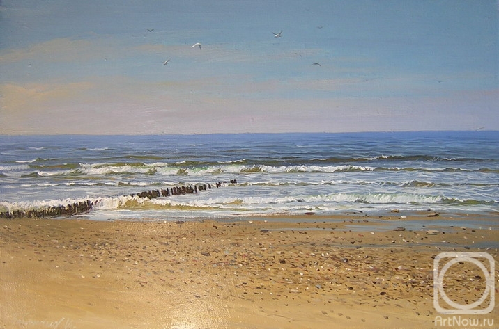 Zaborskih Igor. Sunny beach