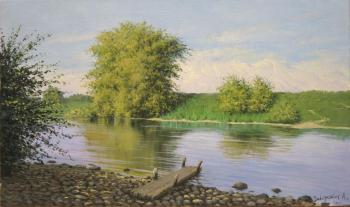 Pregolya River. Zaborskih Igor