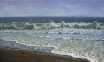 Sea, waves. Zaborskih Igor