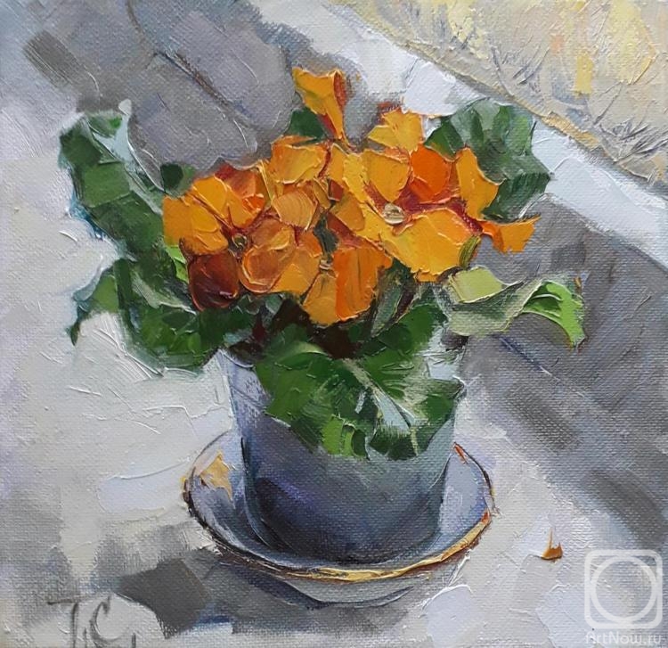 ������� ������ �� ������. ������ �������. �������