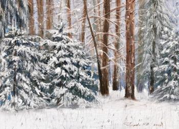 Winter forest in Valuevo. Kritskaya Linda