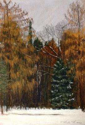 ������� ������� �����