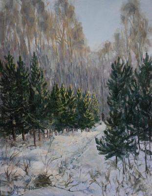 Spruce young growth. December (etude) (Polevskoy). Korepanov Alexander