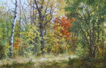 Autumn forest. Dorofeev Sergey