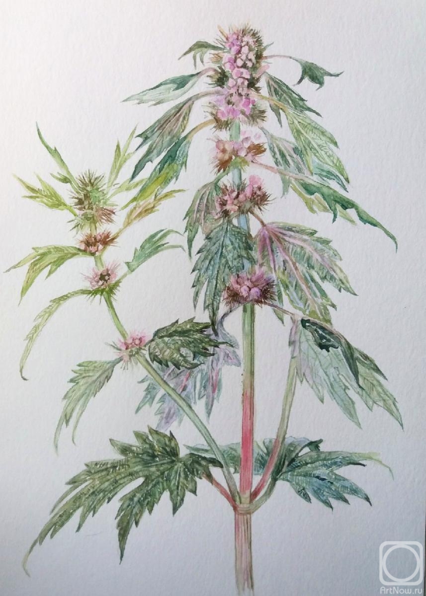 �������. �������� �����. ������� ��� ��������