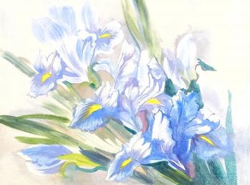 Light irises. Mikhalskaya Katya