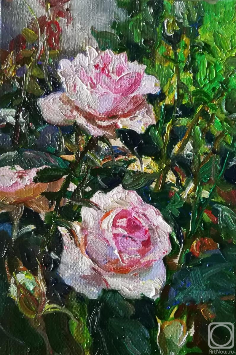 Ahmetvaliev Ildar. Roses