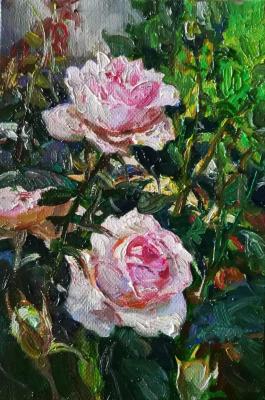 Roses. Ahmetvaliev Ildar