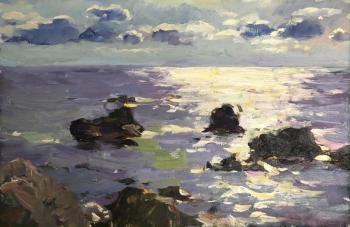 Afternoon sea backlit. Shevchuk Svetlana