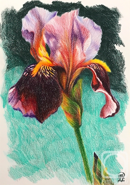 �������. �������� ������. ����