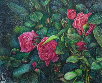 Pink roses (Bright Greenery). Kabylina Darya