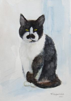 Very serious cat (Black And White Cat). Kazakova Tatyana