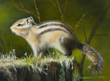 ��������. �������� ��������