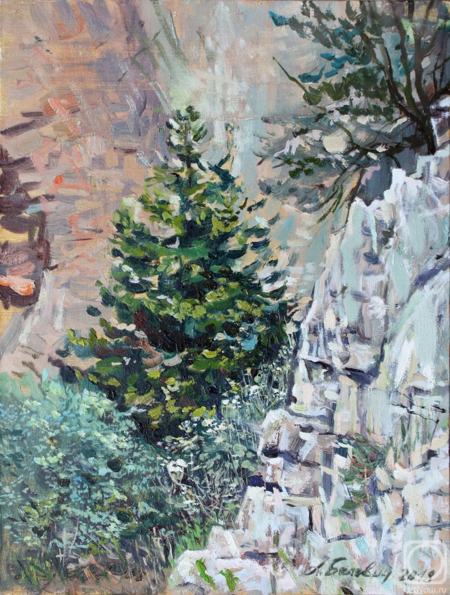 Belevich Andrei. Spruce In The Imbros Gorge