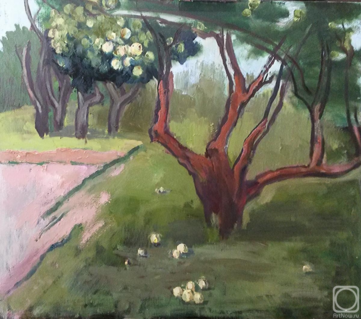 ������� ������ �� ������. ������������ �������. ������